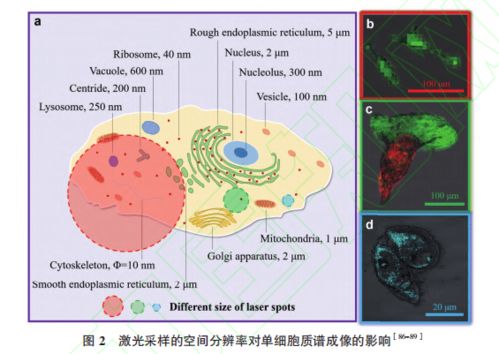 生物技術通報2021年1月最新上線文章精選 前沿生物技術進展概覽
